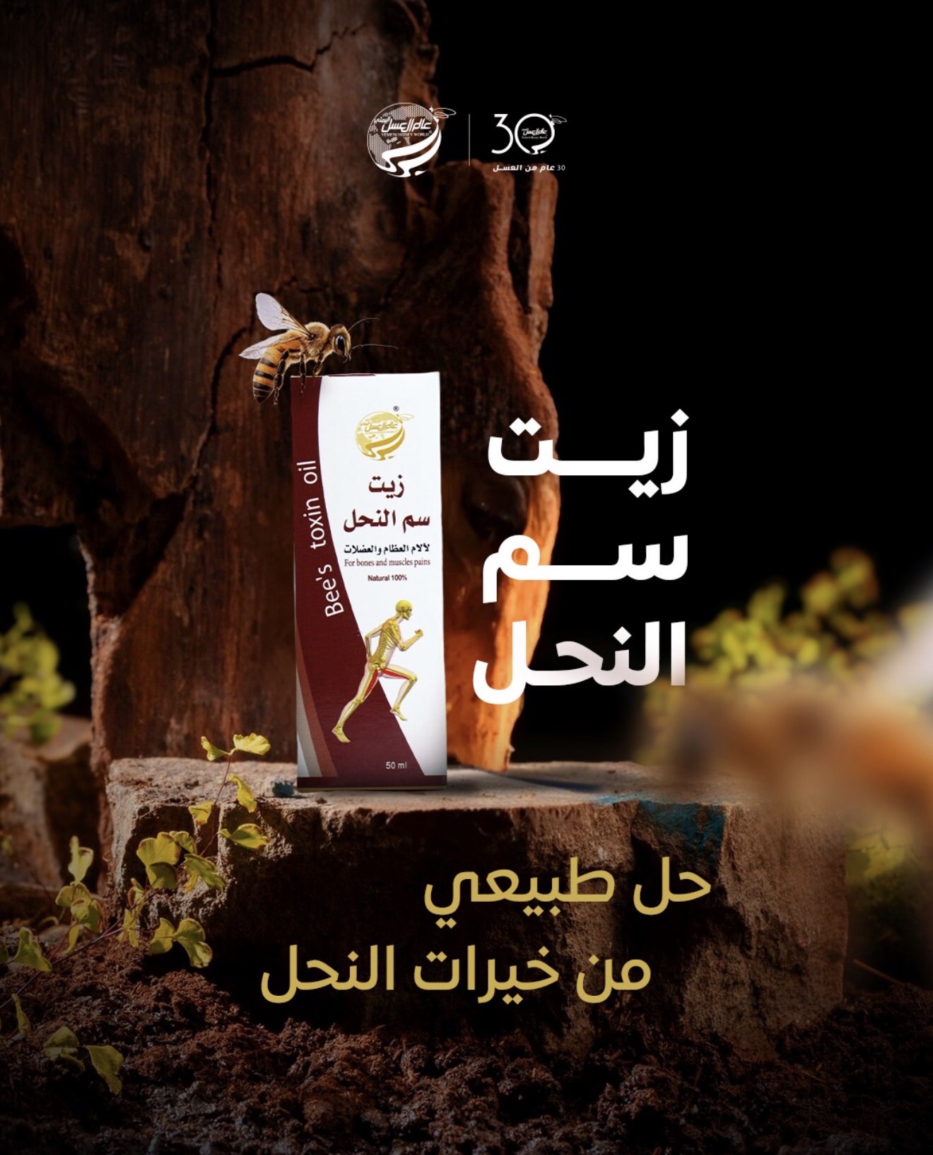 screenshot-4